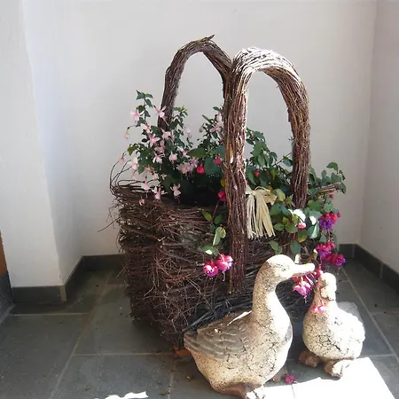 Appartement Chasa Vidos 270 - Familie Scandella *