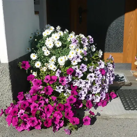 Chasa Vidos 270 - Familie Scandella