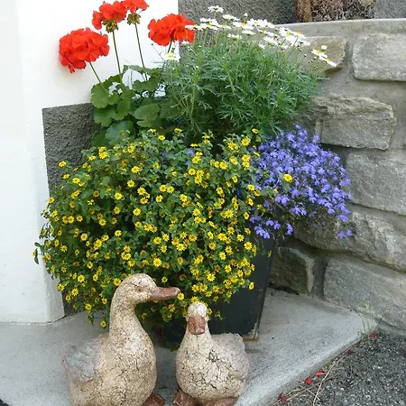 Chasa Vidos 270 - Familie Scandella Διαμέρισμα Sent